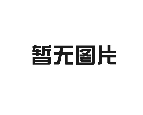 山東奔月生物科技股份有限公司70噸安全型食品添加劑紐甜改建項(xiàng)目竣工環(huán)境保護(hù)驗(yàn)收監(jiān)測(cè)報(bào)告